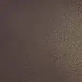 Brown leather upholstery swatch displaying a smooth, granular texture with tonal variations and a matte finish, highlighting natural grain.